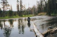 Shoshone Lake